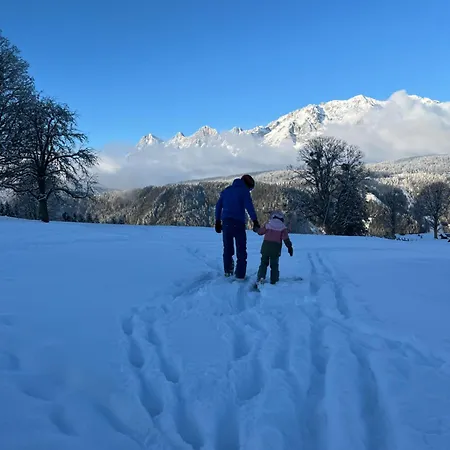 Patz Schladming